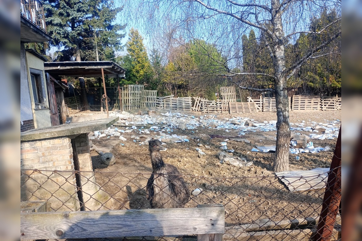 FOTO: Hospodárske zvieratá v Golianove žili v otrasných podmienkach, bez potravy a medzi tisíckami rúšok, foto 7