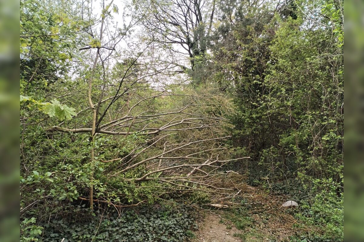 FOTO: Nitriansky dolomitový lom (Rolfesova baňa) 2026, foto 12