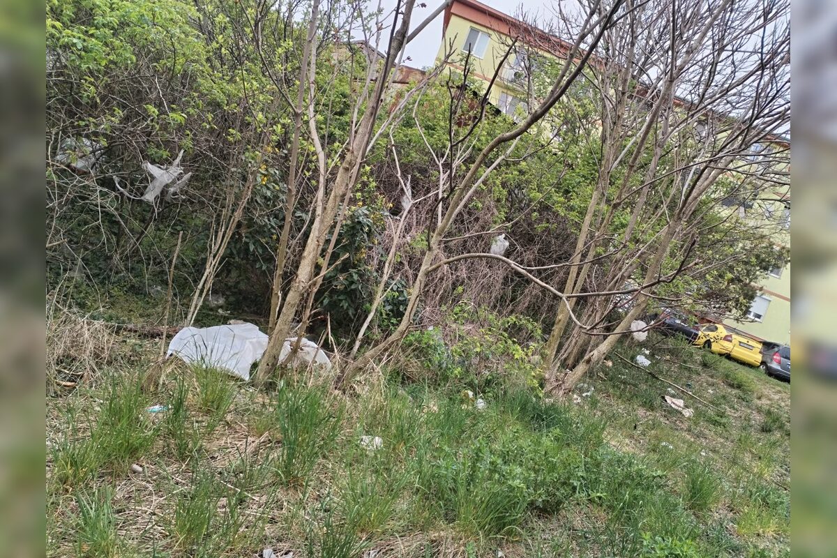 FOTO: Nitriansky dolomitový lom (Rolfesova baňa) 2026, foto 3