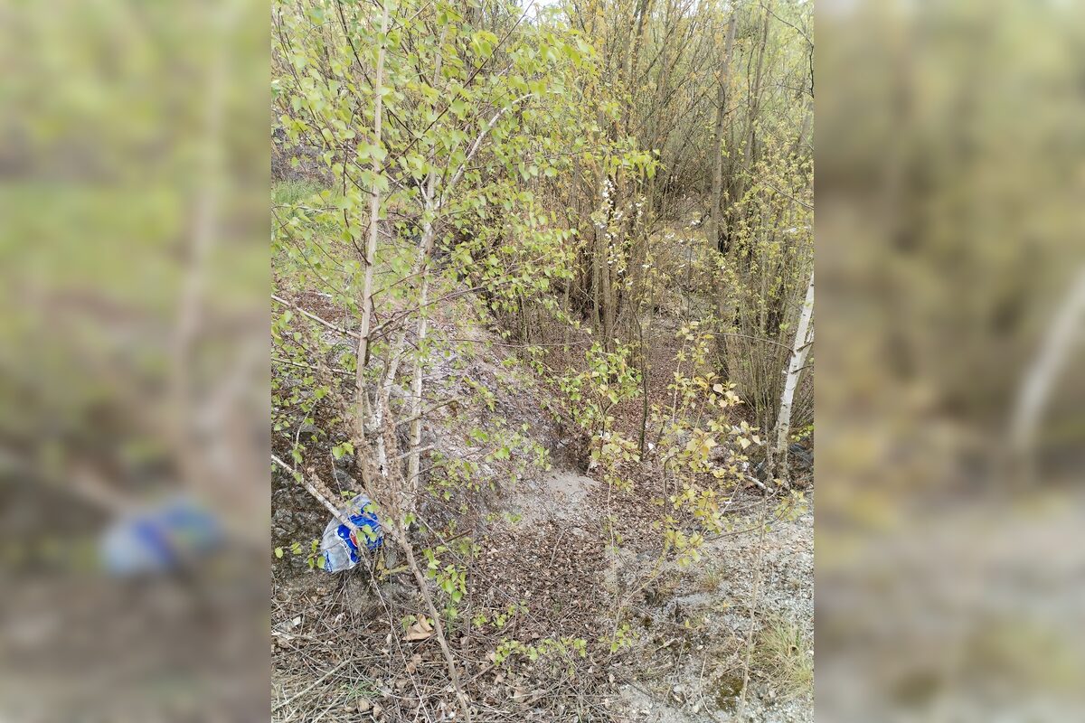 FOTO: Nitriansky dolomitový lom (Rolfesova baňa) 2026, foto 13