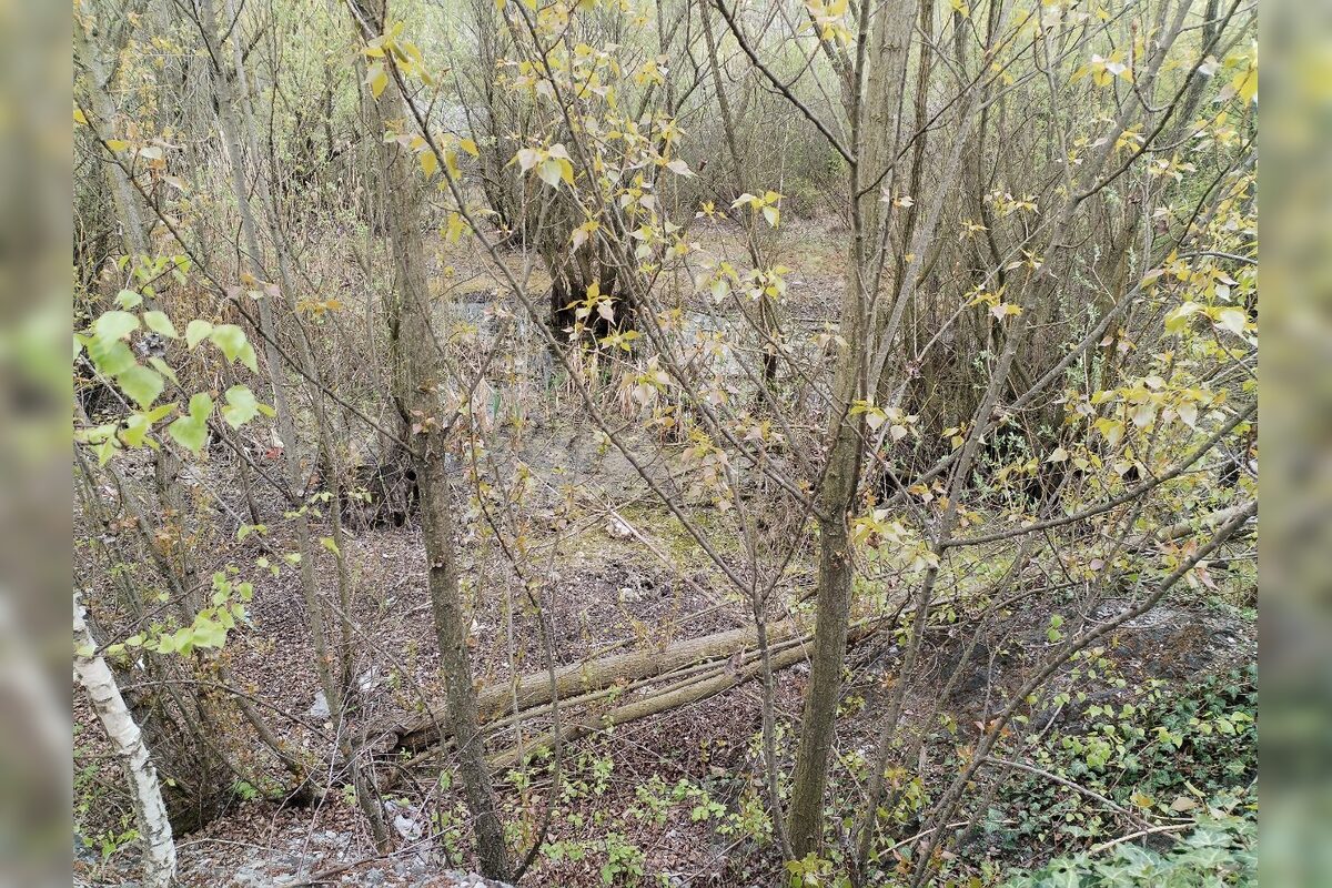 FOTO: Nitriansky dolomitový lom (Rolfesova baňa) 2026, foto 8