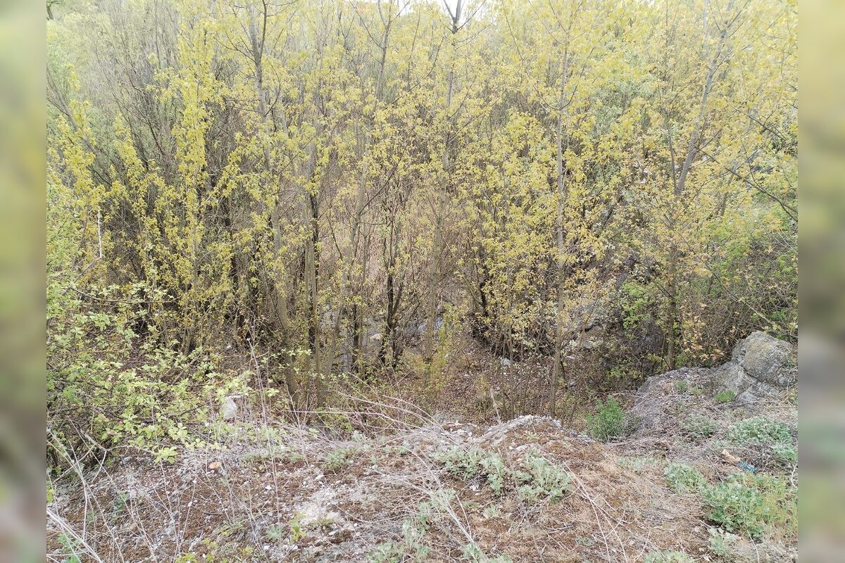 FOTO: Nitriansky dolomitový lom (Rolfesova baňa) 2026, foto 10