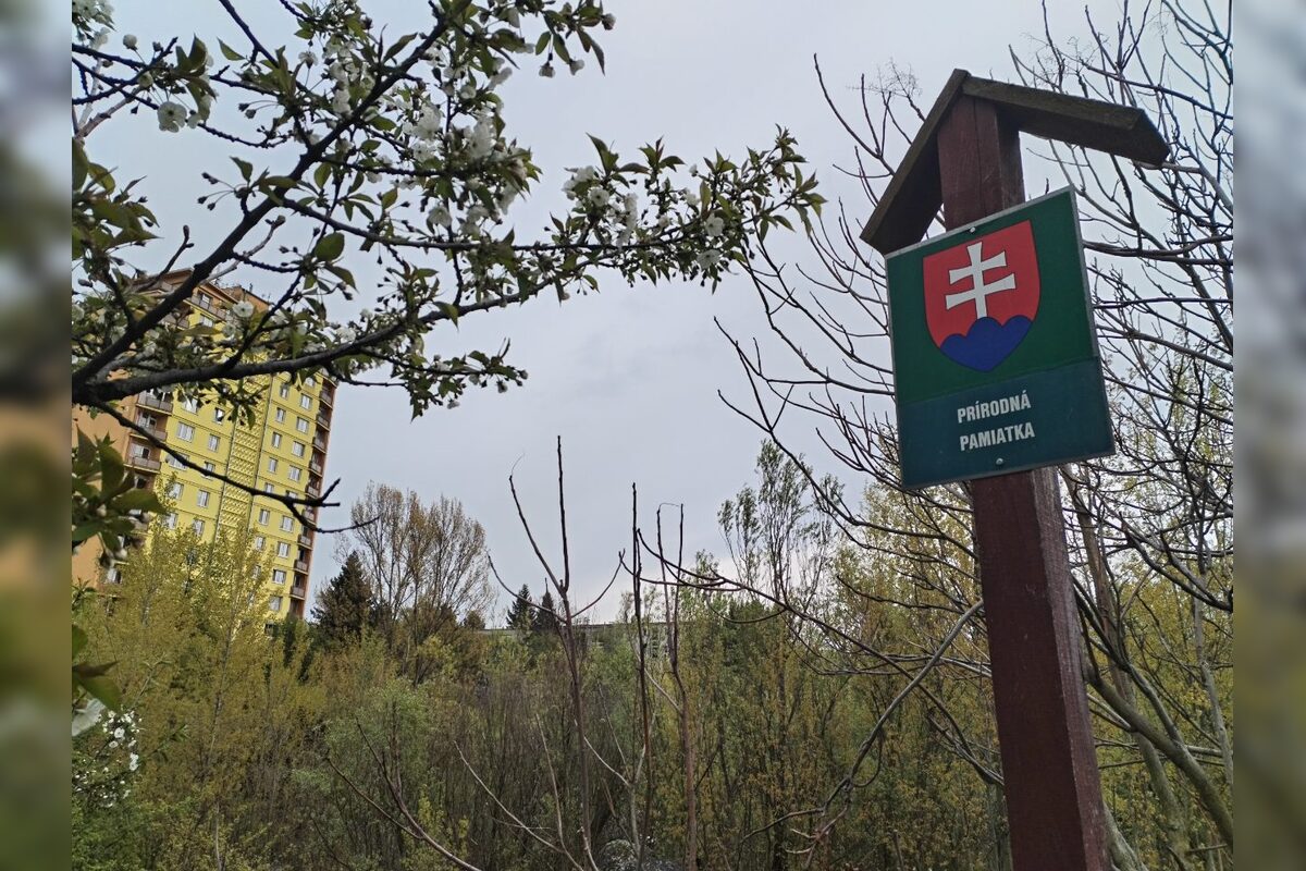 FOTO: Nitriansky dolomitový lom (Rolfesova baňa) 2026, foto 5