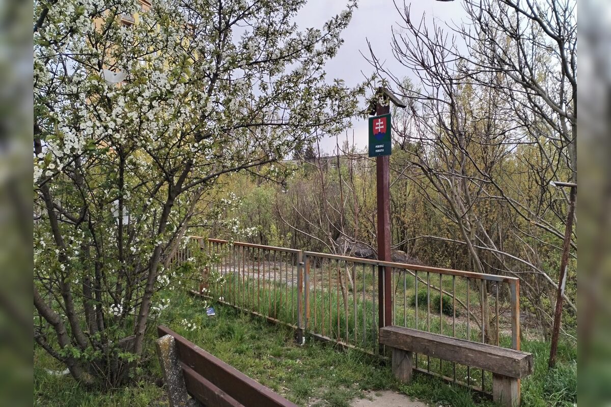 FOTO: Nitriansky dolomitový lom (Rolfesova baňa) 2026, foto 7