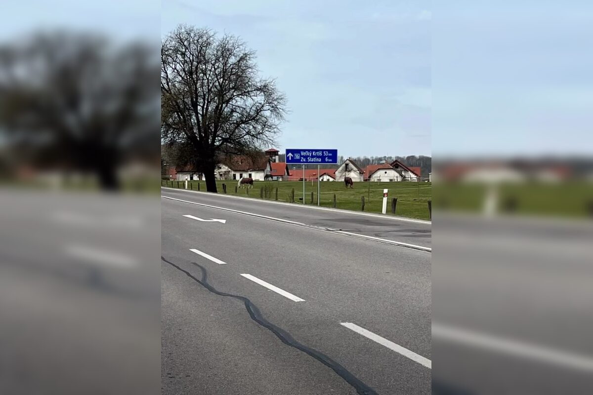 FOTO: Košičan Richard putuje naprieč Slovenskom, aby zachránil syna, foto 21