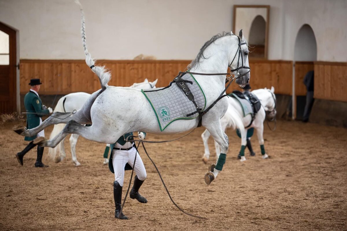 FOTO: Prehľad prvomájových podujatí v Nitrianskom kraji (2026), foto 6