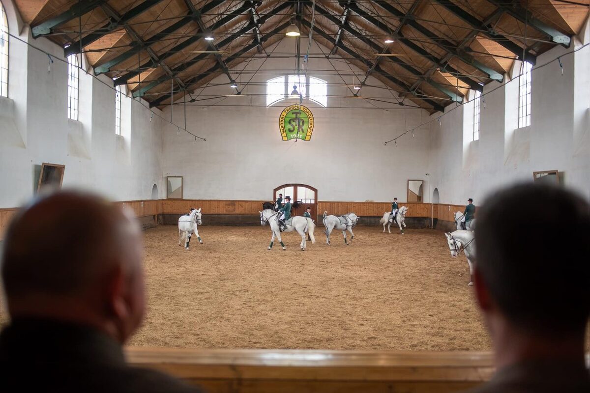 FOTO: Prehľad prvomájových podujatí v Nitrianskom kraji (2026), foto 7