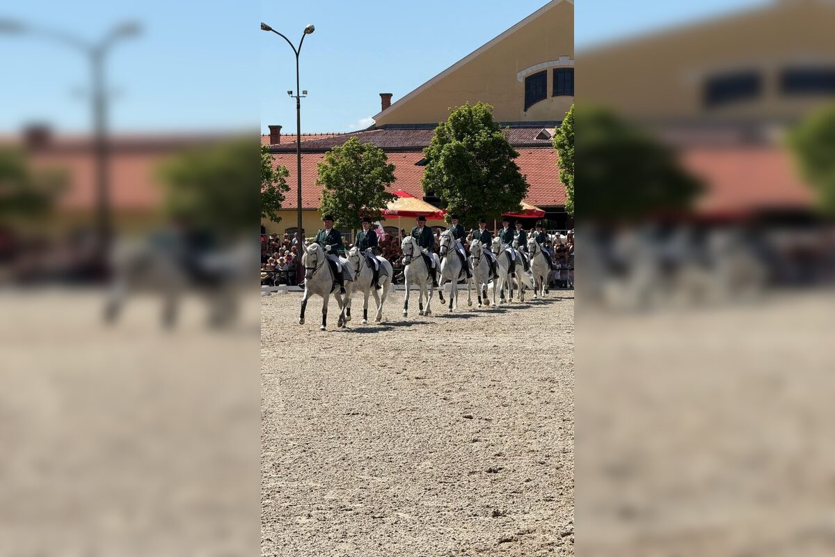 FOTO: Prehľad prvomájových podujatí v Nitrianskom kraji (2026), foto 9