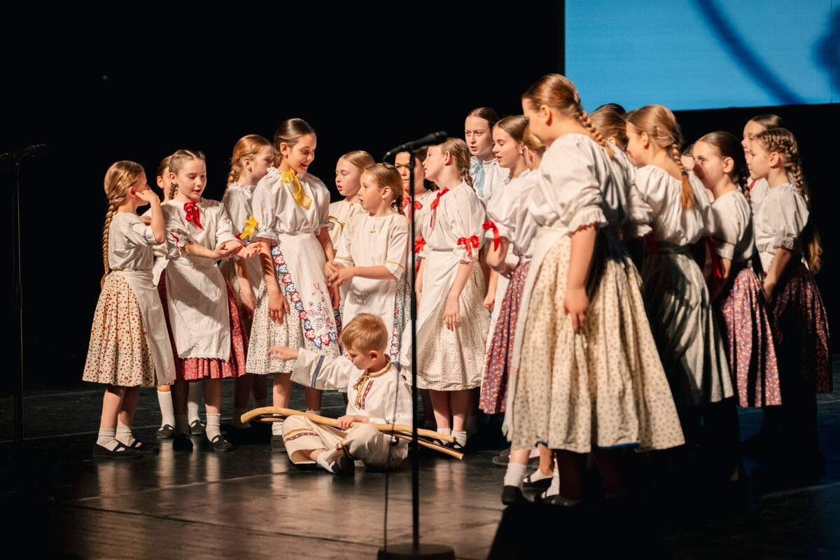 FOTO: Galavečer pri príležitosti osláv 40. výročia DFS Borinka v DAB v Nitre, foto 10