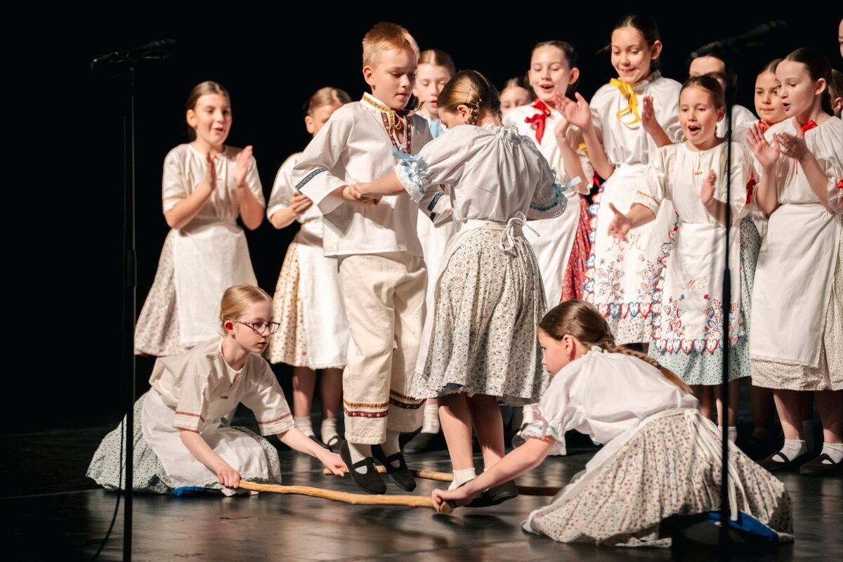 FOTO: Galavečer pri príležitosti osláv 40. výročia DFS Borinka v DAB v Nitre, foto 19