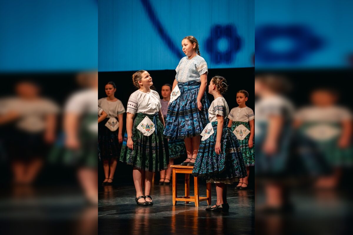 FOTO: Galavečer pri príležitosti osláv 40. výročia DFS Borinka v DAB v Nitre, foto 24