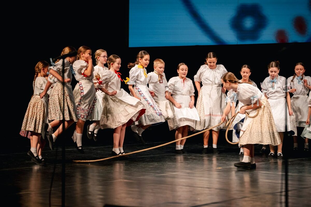 FOTO: Galavečer pri príležitosti osláv 40. výročia DFS Borinka v DAB v Nitre, foto 25