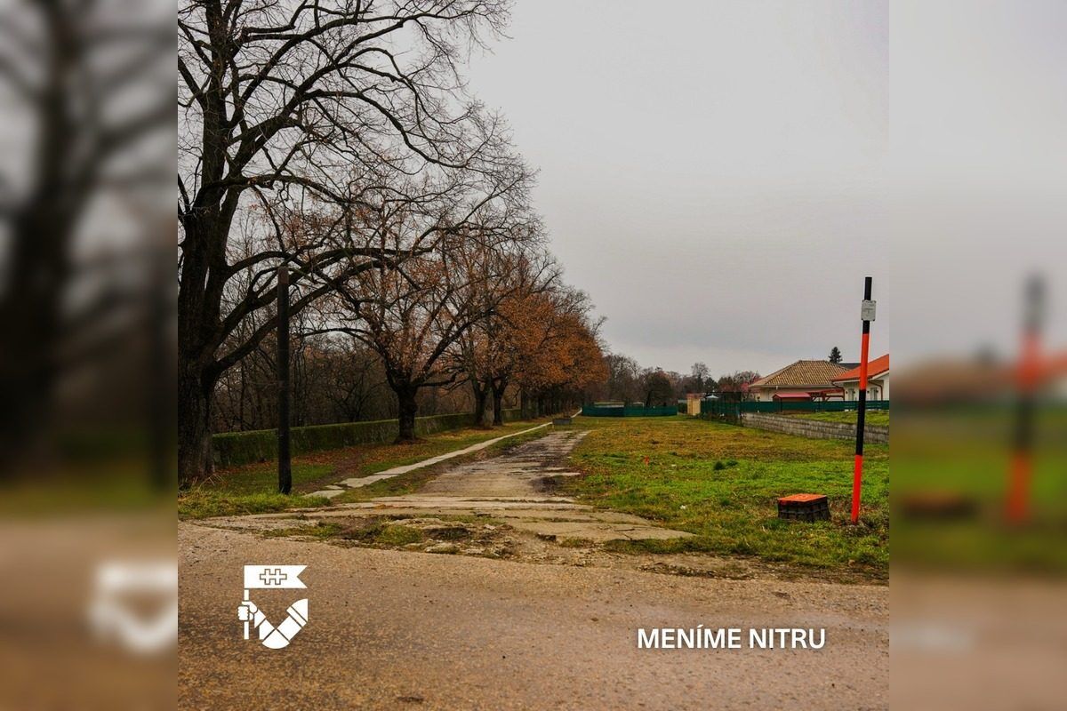 FOTO: Lipová alej v Krškanoch predtým a potom, foto 7