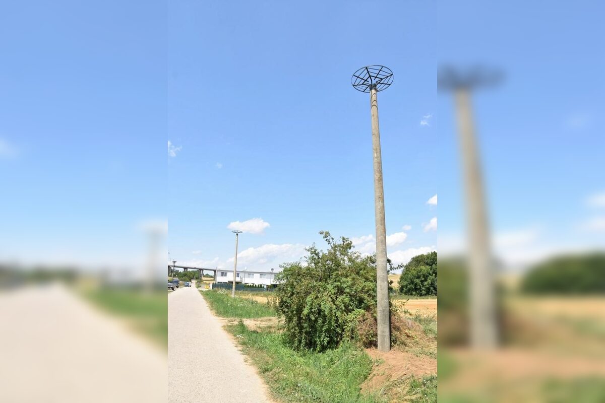 FOTO: Do Veľkého Zálužia sa vrátili bociany, foto 7