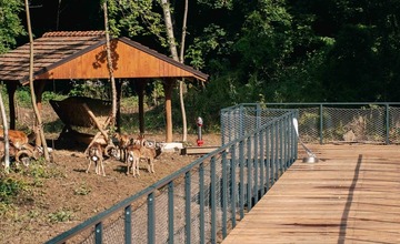 FOTO: Zvieratá v Starom parku majú nový domov 