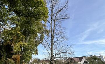 FOTO: Otrávené stormy v Kalnej nad Hronom