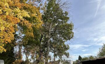 FOTO: Otrávené stormy v Kalnej nad Hronom