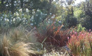 FOTO: Botanická záhrada SPU v Nitre