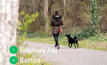 FOTO: Revitalizácia zelených plôch v Nitre