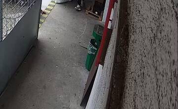 FOTO: Niekto kradol prepravky spoza prevádzky v Nitre. Nepoznáte osobu na záberoch?