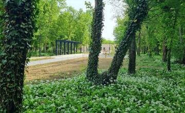 FOTO: Lesopark v Šali prechádza revitalizáciou. Pozrite sa, takto to tam bude vyzerať