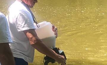 FOTO: V Komárne nechcú nechať nič na náhodu, začali už s biologickou reguláciou komárov