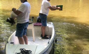 FOTO: V Komárne nechcú nechať nič na náhodu, začali už s biologickou reguláciou komárov