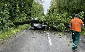 FOTO: Pri obci Báb spadol na cestu strom, trafil aj auto