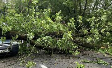 FOTO: Pri obci Báb spadol na cestu strom, trafil aj auto