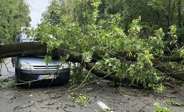 FOTO: Pri obci Báb spadol na cestu strom, trafil aj auto