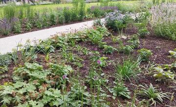 FOTO: Obľúbený Starý park na Sihoti oficiálne otvoril svoje brány verejnosti