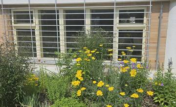 FOTO: Ikonická Vila K v Nitre opäť otvorila svoje brány. Takto vyzerá po obnove