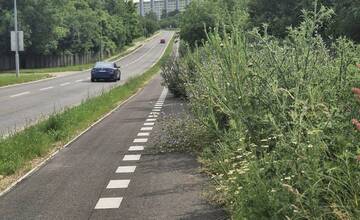FOTO: Takéto zarastené cyklotrasy, ako majú v Nitre, ste ešte nevideli