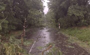 FOTO: Búrka, ktorá sa v stredu prehnala Nitrou a okolím, lámala aj stromy 