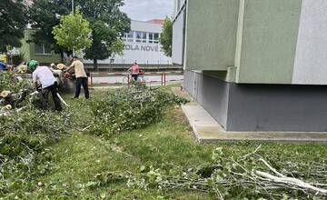 FOTO: V Nových Zámkoch už odstraňujú škody aj popadané stromy a konáre