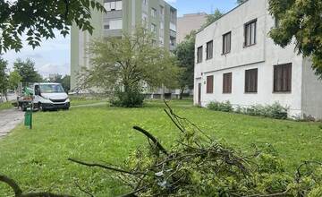 FOTO: V Nových Zámkoch už odstraňujú škody aj popadané stromy a konáre