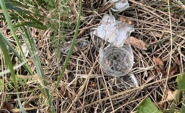 FOTO: Obyvateľov nitrianskej Klokočiny hnevá neporiadok v uliciach a okolo kontajnerov