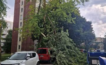 FOTO: Nitra bola počas búrky opäť pod vodou, silný vietor lámal stromy 