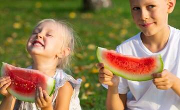 FOTO: Predajňa Fajnovo v Nových Zámkoch