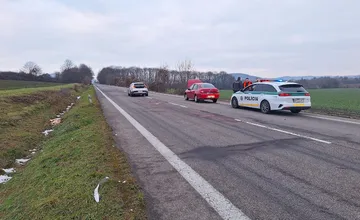 FOTO: Na ceste pri Jelenci skončil pod kolesami auta kríženec retrievera, zrážku neprežil 