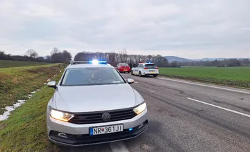 FOTO: Na ceste pri Jelenci skončil pod kolesami auta kríženec retrievera, zrážku neprežil 