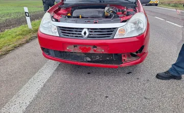 FOTO: Na ceste pri Jelenci skončil pod kolesami auta kríženec retrievera, zrážku neprežil 