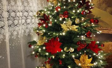 FOTO: Čitatelia sa pochválili fotografiami svojich krásnych vianočných stromčekov