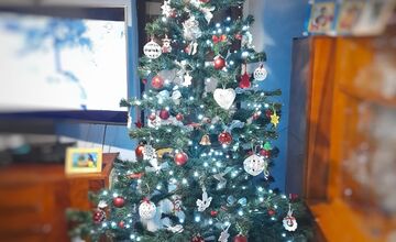 FOTO: Čitatelia sa pochválili fotografiami svojich krásnych vianočných stromčekov