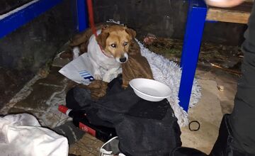 FOTO: V Nitrianskych Hrnčiarovciach zachraňovali podchladeného pána so psom, ležali na zastávke