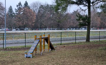 FOTO: V Nitre postavili nový výbeh pre psov. Je plný moderných prekážok a hracích prvkov