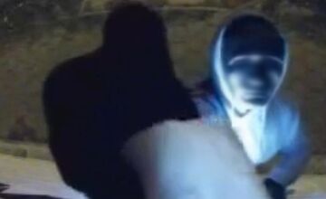 FOTO: Mladíci vykrádali v Nitre boxy na balíky, dlho sa však z lupu netešili 