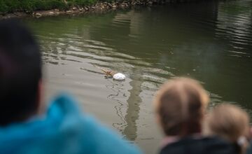 FOTO: Sviatky jari 2025 v Nitre - Vynášanie Moreny 