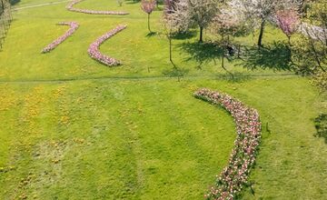 FOTO: Nitrianska Klokočina rozkvitla do krásy. Mnohí sa tam chodia fotiť