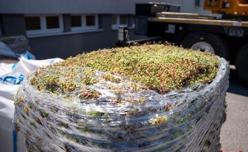 FOTO: V Nitre pribúdajú zelené strechy